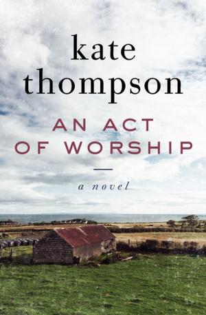 Cover of the book An Act of Worship by Guy Davenport