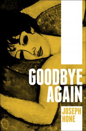 Cover of the book Goodbye Again by Diane Fanning