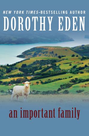 Cover of the book An Important Family by H. G. Wells, E. R. Eddison, David Lindsay, Edgar Rice Burroughs, Mark Twain