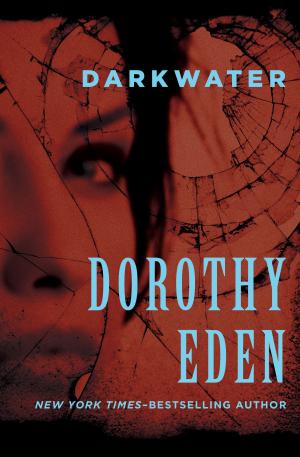 Cover of the book Darkwater by Benjy Melendez, Amir Said