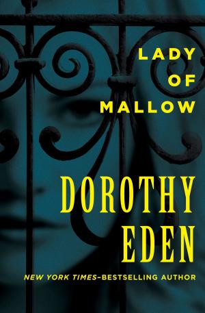 Cover of the book Lady of Mallow by Walter Lord