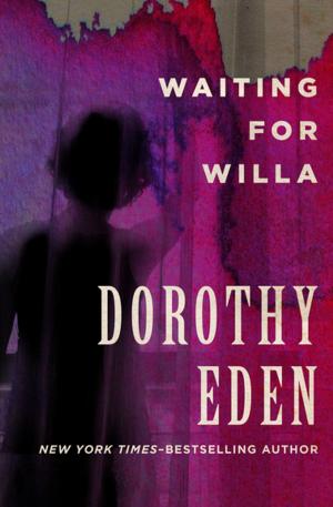 Cover of the book Waiting for Willa by Hal Borland