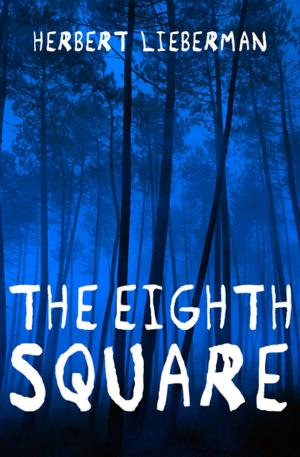 Cover of the book The Eighth Square by Norma Fox Mazer