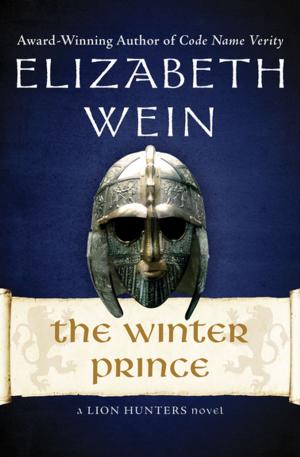 Cover of the book The Winter Prince by Catherine Aird