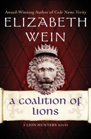Cover of the book A Coalition of Lions by Paula Fox
