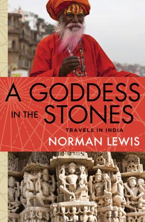 bigCover of the book A Goddess in the Stones by 
