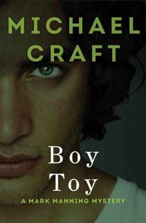 Cover of the book Boy Toy by Brian W. Aldiss