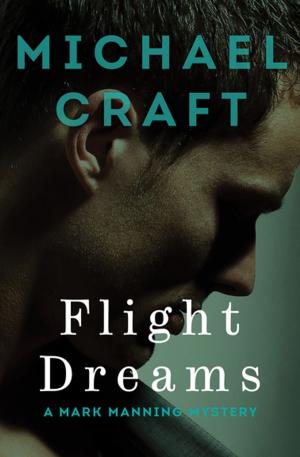 Cover of the book Flight Dreams by Nancy Springer