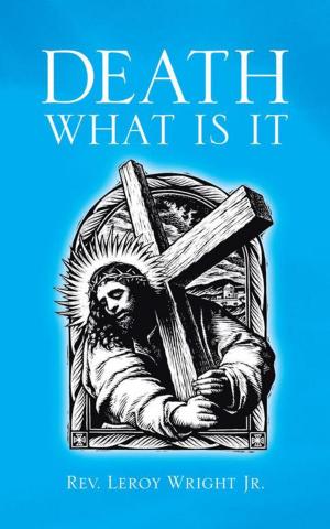 Cover of the book Death What Is It by Jules Cassius