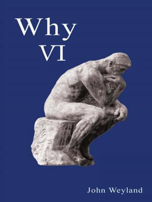 Cover of the book Why Vi by Carolyn Merryman