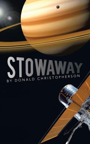 Cover of the book Stowaway by Captain Wilbur H. Vantine