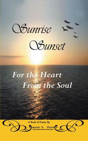 Cover of the book Sunrise Sunset by David O’reilly