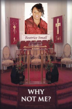 Cover of the book Why Not Me? by Stuart E. Heflin Sr.