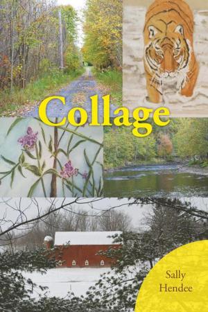Cover of the book Collage by Thuraya Hasan Ghannam