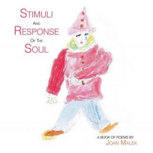 Cover of the book Stimuli and Response of the Soul by Stephen Timewell