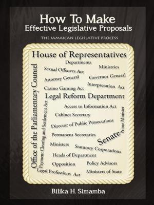 Cover of the book How to Make Effective Legislative Proposals by Denise Hilliard