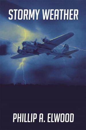 Cover of the book Stormy Weather by Dustin Bennion