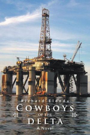 bigCover of the book Cowboys of the Delta by 