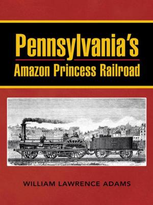 Book cover of Pennsylvania’S Amazon Princess Railroad