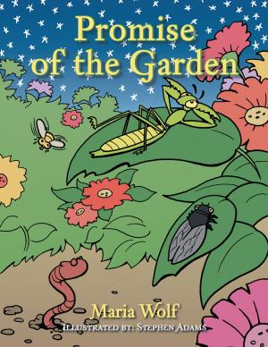 Book cover of Promise of the Garden