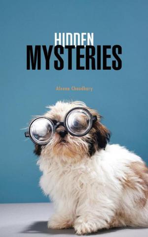 Cover of the book Hidden Mysteries by Kris Doulos