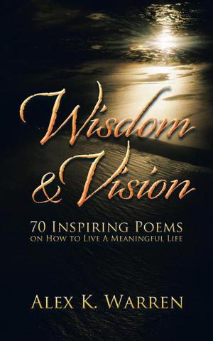 Book cover of Wisdom & Vision