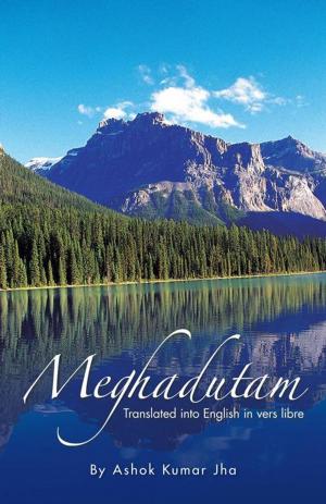 Cover of the book Meghadutam by John Onu Odihi
