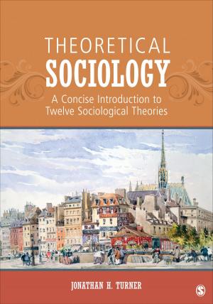 Book cover of Theoretical Sociology