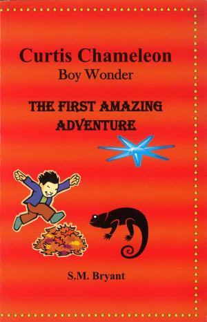 Book cover of Curtis Chameleon Boy Wonder