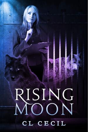 Cover of the book Rising Moon by Ludlow Christopher Delfosse