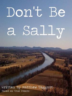 Book cover of Don't Be a Sally