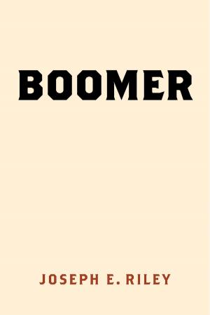 Cover of the book Boomer by Luke Och