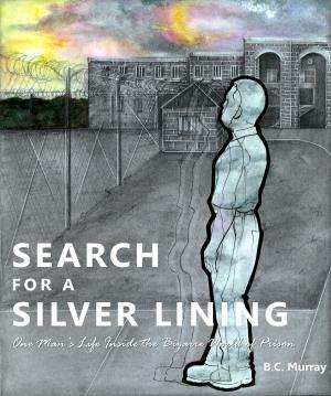 Book cover of Search for a Silver Lining