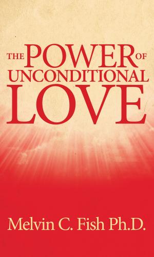 Cover of the book The Power Of Unconditional Love by Daniel Broman