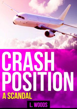 Cover of the book Crash Position by Shimon Edelman
