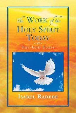 Cover of the book The Work of the Holy Spirit Today by Isaac Ezenwa Umelo