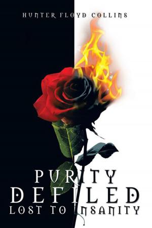 Cover of the book Purity Defiled, Lost to Insanity by Joan C. Mullins