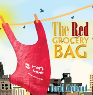 Cover of the book The Red Grocery Bag by Patrick Colabella CPA