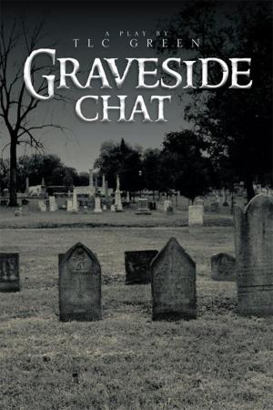 Cover of the book Graveside Chat by Martin Odudukudu