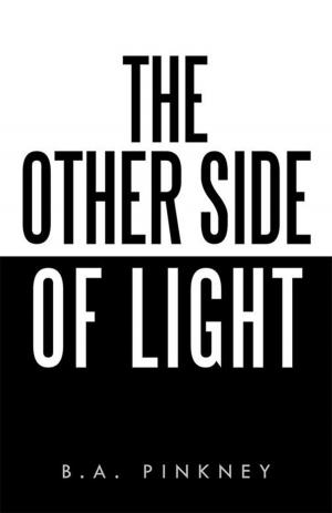 Cover of the book The Other Side of Light by Jessica Zacharias