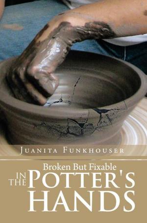 Cover of the book Broken but Fixable in the Potter's Hands by Rod Burns