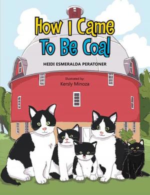 Cover of the book How I Came to Be Coal by J. N. Sadler