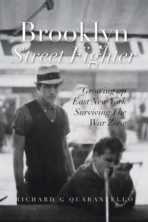 bigCover of the book Surviving the Warzone by 