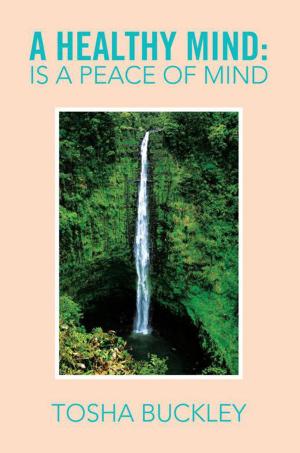Cover of the book A Healthy Mind: Is a Peace of Mind by Joseph J. Trevino
