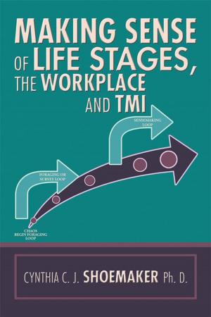 Cover of the book Making Sense of Life Stages, the Workplace and Tmi by Dave Fontaine