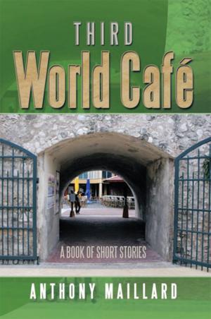 Cover of the book Third World Café by Sandra Moore-Gillard