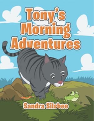 Cover of the book Tony's Morning Adventures by David K. Bonin