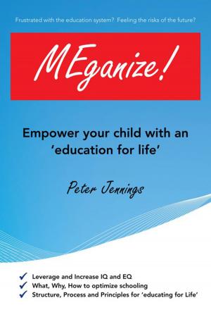 Cover of the book Meganize! by Chris R. M.