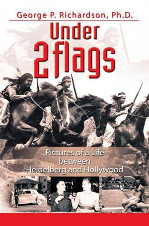 Cover of the book Under 2 Flags by ’Tunde Alabi