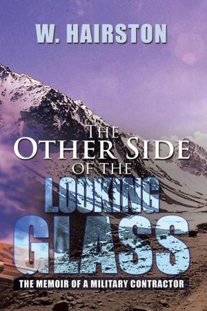 Cover of the book The Other Side of the Looking Glass by Jascha Kessler